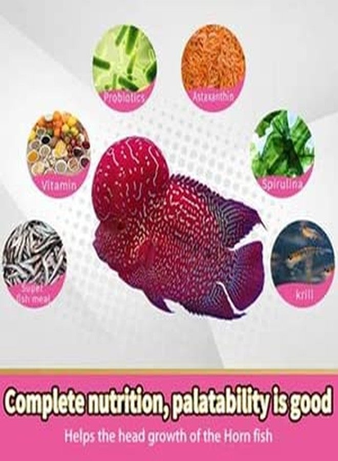 VAYINATO Horizone Royal Flowerhorn Daily Nutrition Fish Food, 100G - All Life Stages, Pellet - Image 3